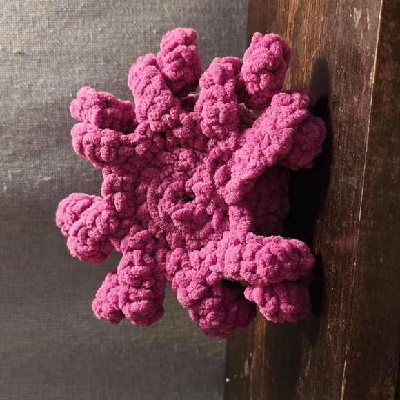 Mini octopus - Picture 5 of 5